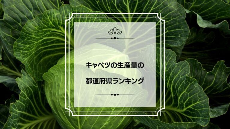 キャベツの生産量の都道府県ランキング！日本一はどこ？ プリラン47：都道府県ランキング