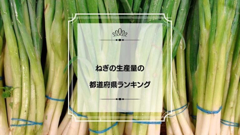 ねぎの生産量の都道府県ランキング！日本一はどこ？ プリラン47：都道府県ランキング